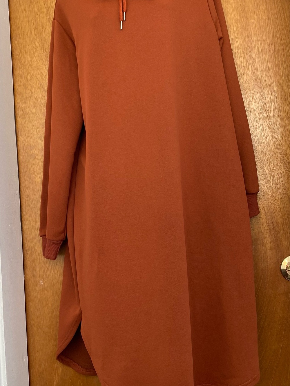 Women's Long Sleeve Hoodie Dress in Rust Orange